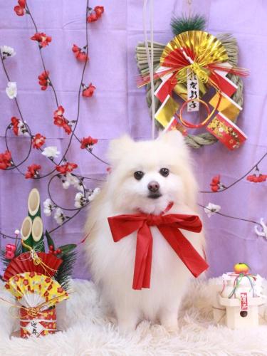 20230121クーくん